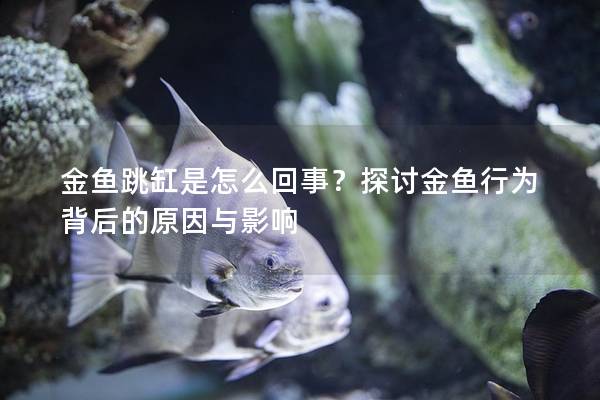 金魚跳缸是怎么回事？探討金魚行為背后的原因與影響